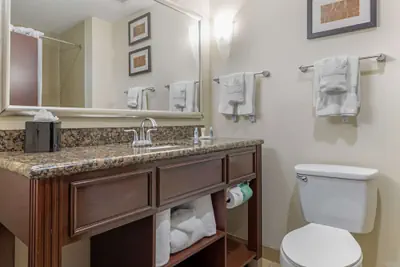 Photo 3 - Comfort Suites West Dallas - Cockrell Hill