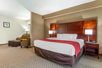 Photo 5 - Comfort Suites Smyrna - Nashville Area