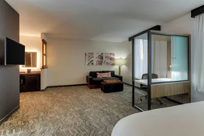 Photo 5 - SpringHill Suites Birmingham Downtown at UAB