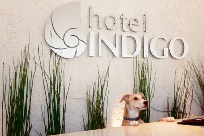Photo 3 - Hotel Indigo San Diego-Gaslamp Quarter by IHG