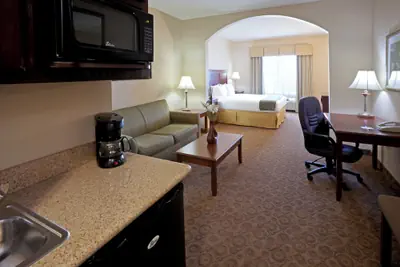 Photo 5 - Holiday Inn Express & Suites Dallas Southwest-Cedar Hill by IHG