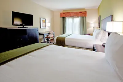 Photo 5 - Holiday Inn Express & Suites Clemson by IHG