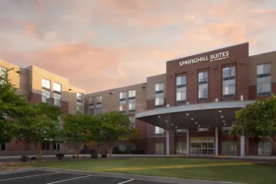 Photo 2 - SpringHill Suites by Marriott Columbia Downtown/The Vista