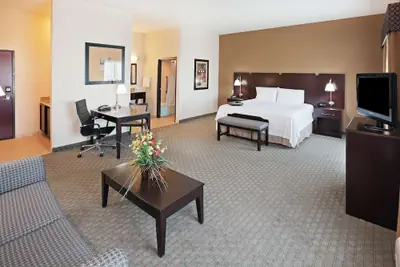 Photo 5 - Hampton Inn and Suites Dumas