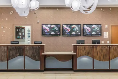 Photo 5 - Fairfield Inn & Suites by Marriott Orlando at SeaWorld