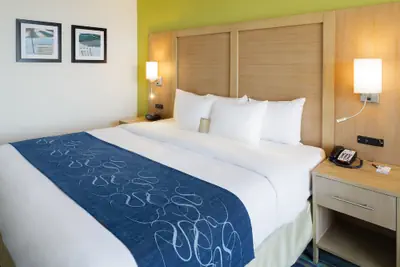 Photo 5 - Comfort Suites Beachfront