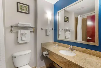 Photo 5 - Comfort Suites Atlanta Airport