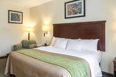 Photo 4 - Quality Inn Donaldsonville - Gonzales