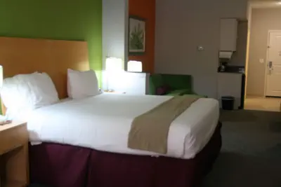 Photo 3 - Holiday Inn Express Hotel & Suites Clute - Lake Jackson by IHG