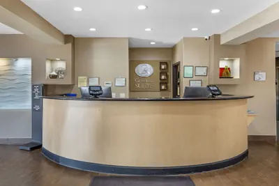 Photo 3 - Comfort Suites Locust Grove Atlanta South