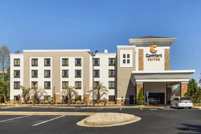 Photo 2 - Comfort Suites Locust Grove Atlanta South