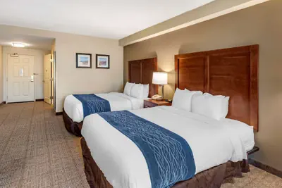Photo 5 - Comfort Inn & Suites Virginia Beach - Norfolk Airport