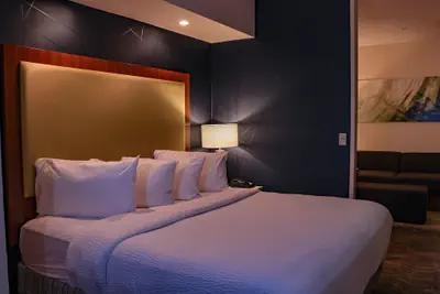 Photo 4 - SpringHill Suites by Marriott Baton Rouge North/Airport