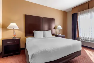 Photo 5 - Best Western Plus DFW Airport West Euless