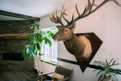 Photo 3 - Blue Elk Inn