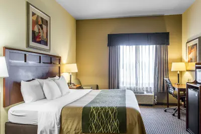 Photo 3 - Comfort Inn & Suites Madisonville