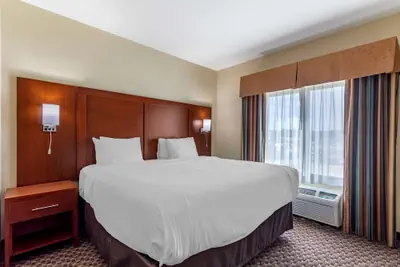 Photo 4 - Comfort Inn & Suites Carbondale University Area