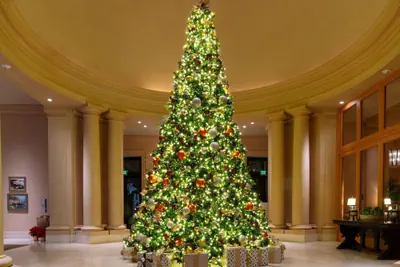 Photo 4 - The Resort at Pelican Hill