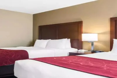 Photo 5 - Comfort Suites Tampa Airport North