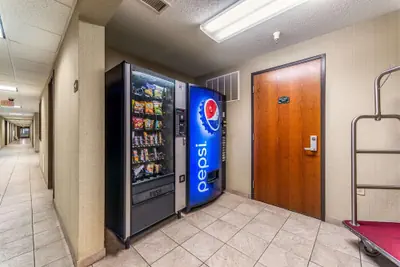 Photo 4 - Welcome Suites