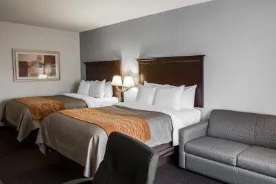 Photo 2 - Comfort Inn & Suites Lumberton Central I-95