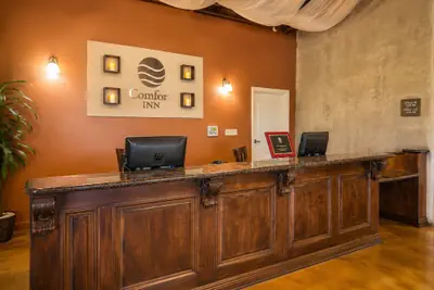 Photo 3 - Comfort Inn Pomona near Fairplex