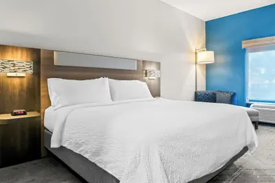 Photo 3 - Holiday Inn Express Hotel & Suites Detroit-Novi by IHG