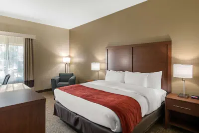 Photo 5 - Comfort Inn & Suites Cedar Hill Duncanville