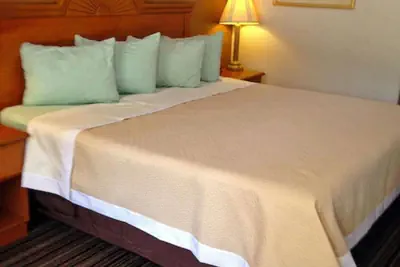 Photo 4 - Americas Best Value Inn DeRidder
