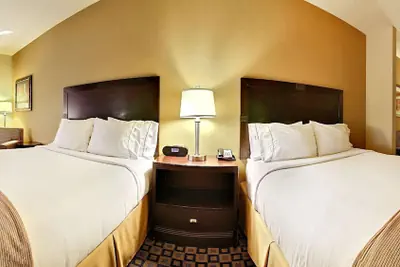 Photo 5 - Holiday Inn Express Hotel & Suites Clovis by IHG