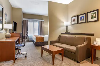 Photo 2 - Comfort Suites Jonesboro University Area