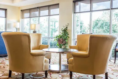 Photo 3 - Comfort Suites Rock Hill Manchester Meadows Area
