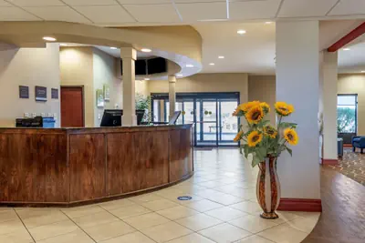 Photo 3 - Comfort Suites Airport South