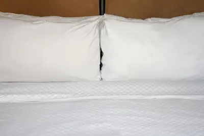 Photo 4 - Four Points by Sheraton Philadelphia City Center