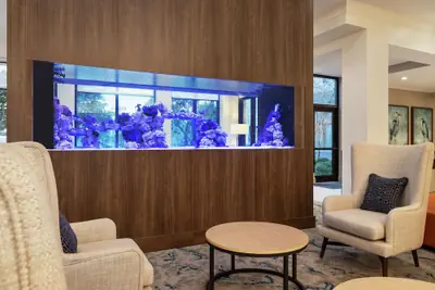 Photo 3 - Hilton Garden Inn Palm Coast Town Center