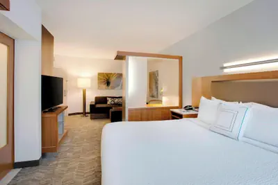 Photo 2 - Springhill Suites Marriott Airport
