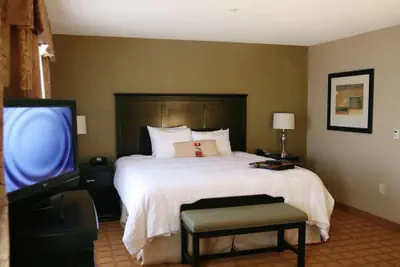 Photo 5 - Hampton Inn & Suites Chicago/St. Charles