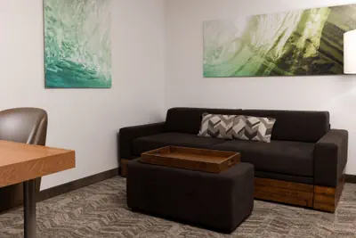 Photo 5 - SpringHill Suites by Marriott Roseville
