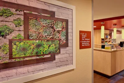 Photo 3 - TownePlace Suites by Marriott Albany Downtown/Medical Center