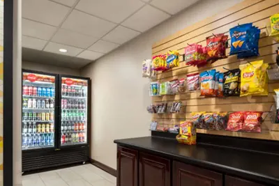 Photo 3 - Holiday Inn Express & Suites Mobile West I-10 by IHG