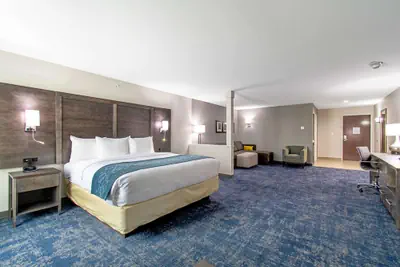 Photo 5 - Comfort Suites Humble Houston IAH