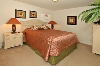 Photo 3 - Kissimmee Vacation Homes