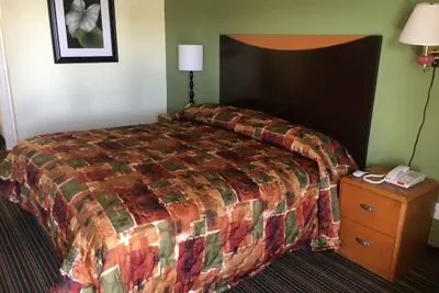 Photo 5 - Executive Inn Odessa