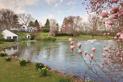 Photo 2 - The Inn at Whitewing Farm