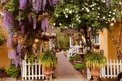 Photo 2 - Glen Ellen Inn