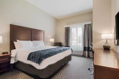 Photo 2 - Comfort Inn & Suites Rock Hill Northeast