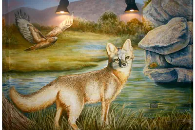 Photo 3 - Hotel Flora & Fauna