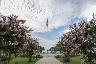 Photo 2 - Oasis Resort Gulfport