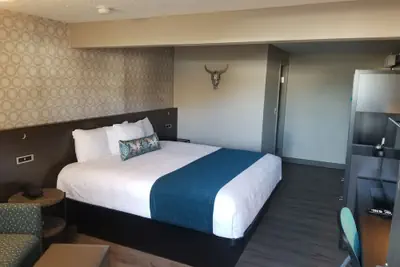 Photo 3 - The Hotel Y, a Dazzler Select by Wyndham