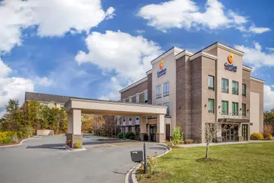 Photo 2 - Comfort Inn & Suites Florence Center Area